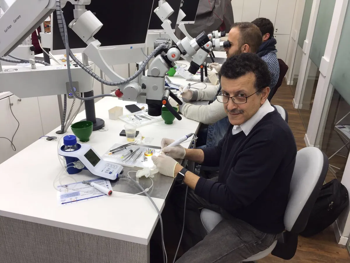 EDOARTS Dental Clinic: תמונה 3