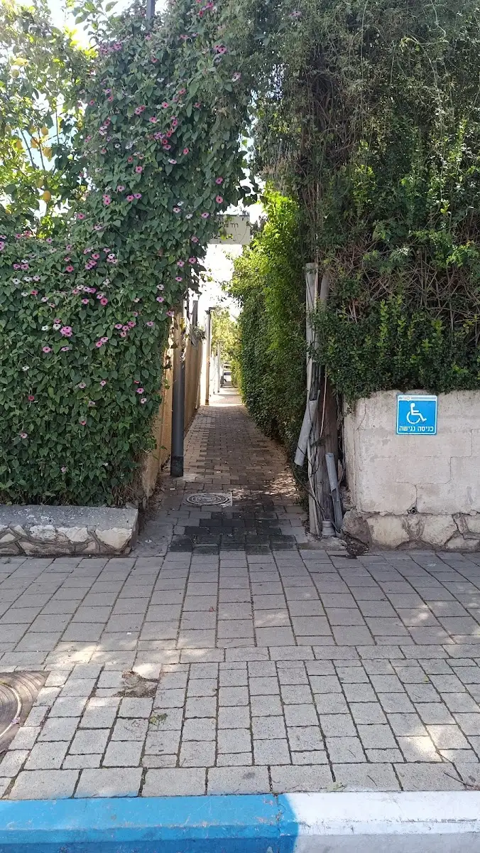 יעל שלמה - קוסמטיקאית הוליסטית, תמונה 4