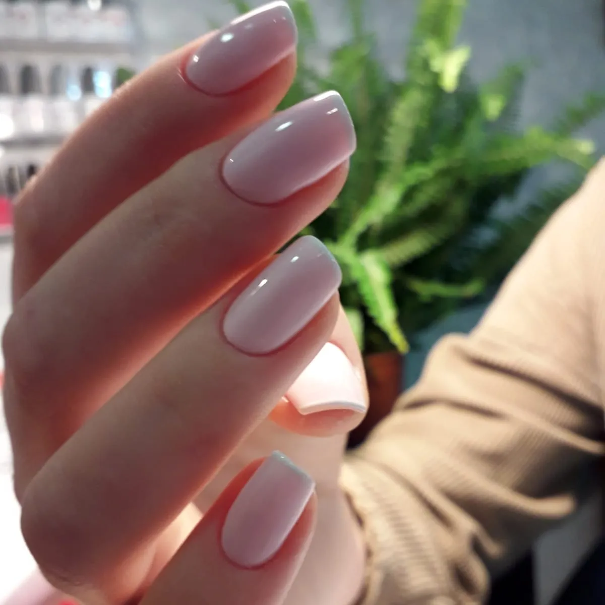 Beautique by Poly, תמונה 5