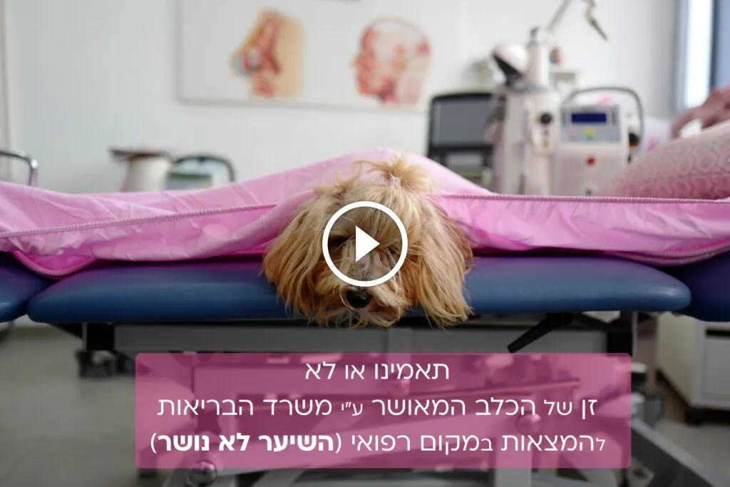 מרפאת נרקיסיה, תמונה 8