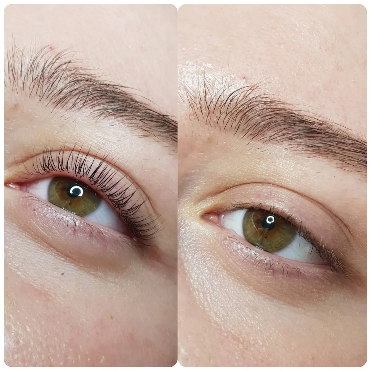 Premium Beauty, תמונה 3