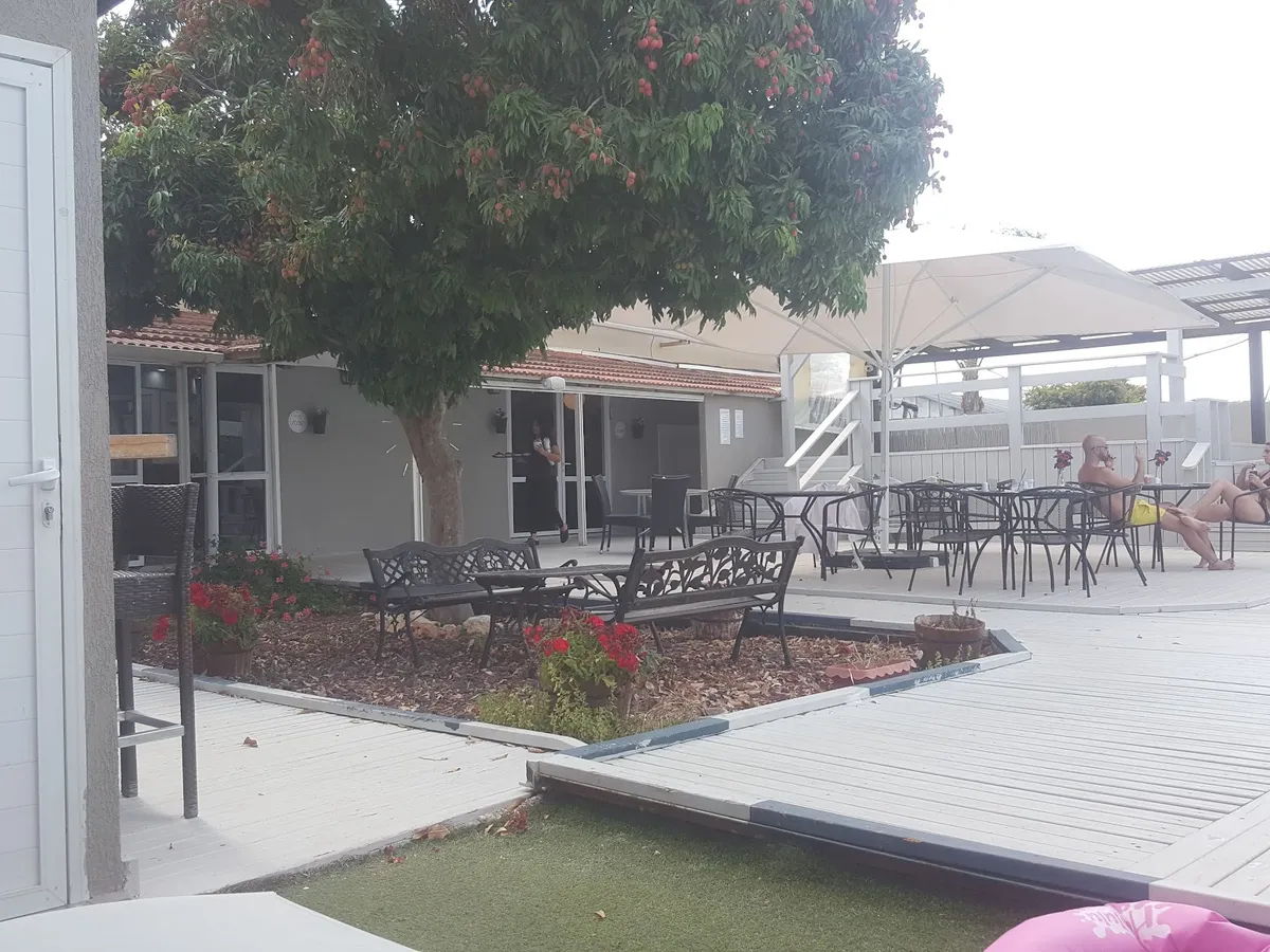 Ben Ami spa experience Galilee: תמונה 7