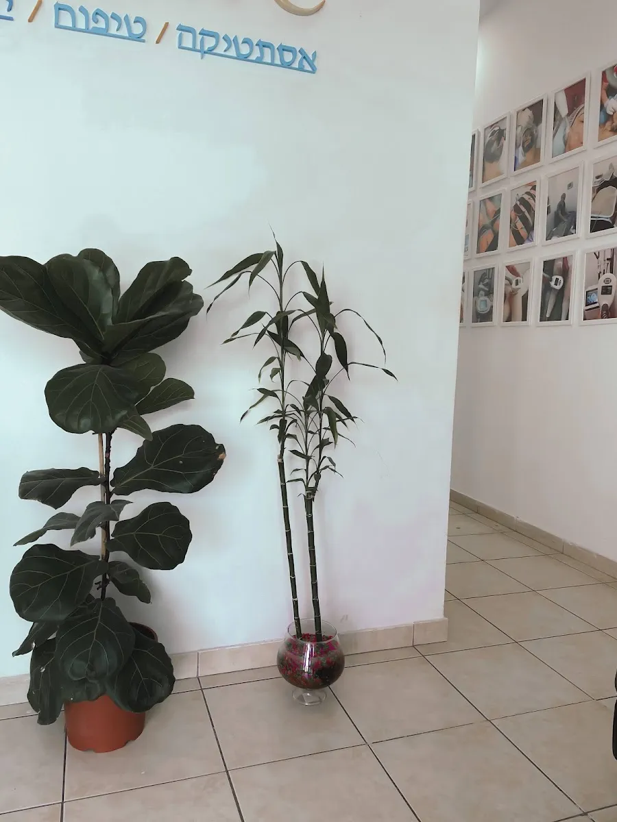 V-Clinic, תמונה 4
