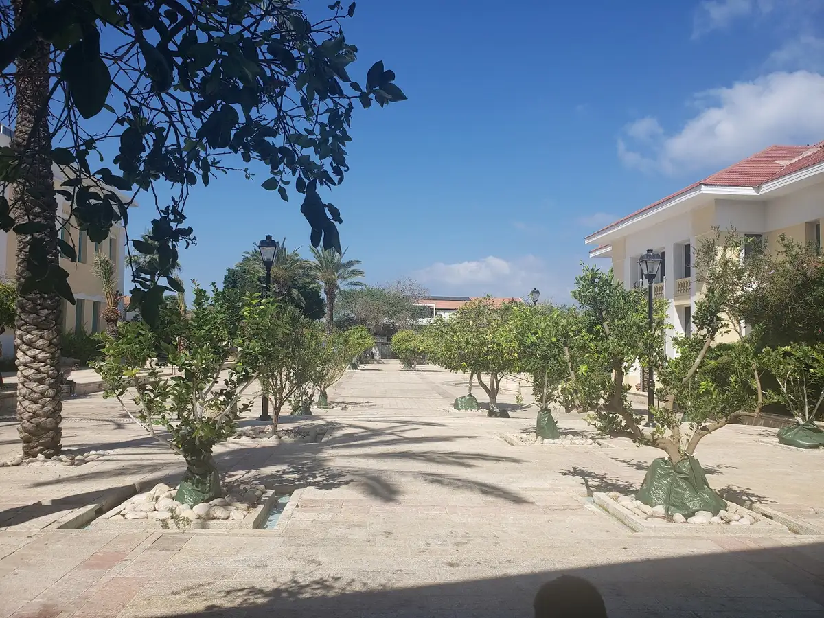 Spa Neve Tzedek: תמונה 4