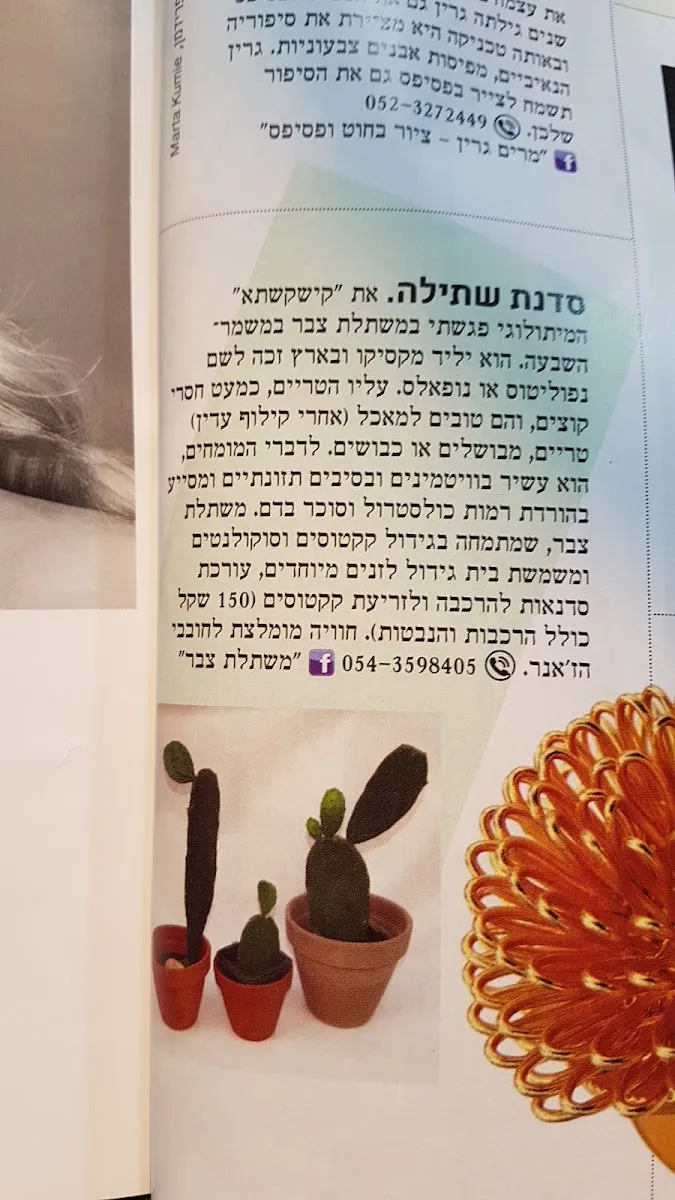 סלון יפו jaffa salon, תמונה 8