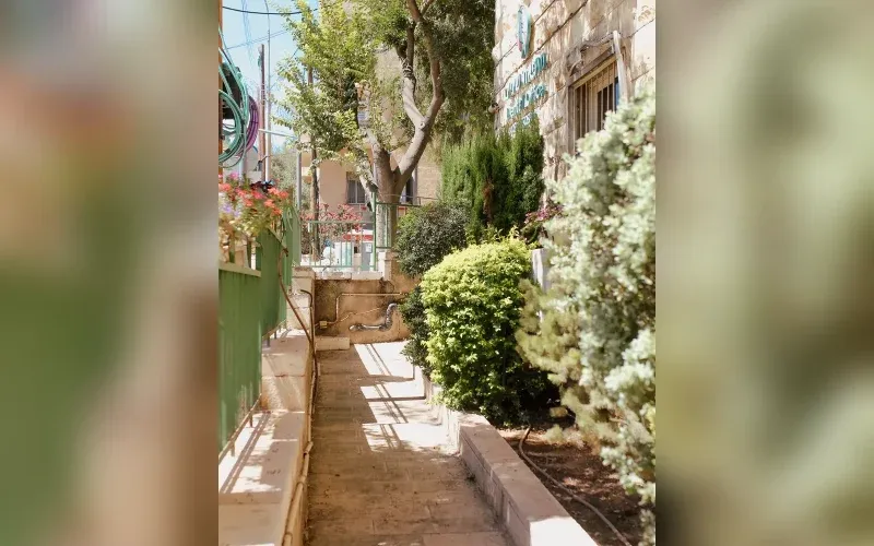 Kurer Jackson Dental Office, Jerusalem, תמונה 7