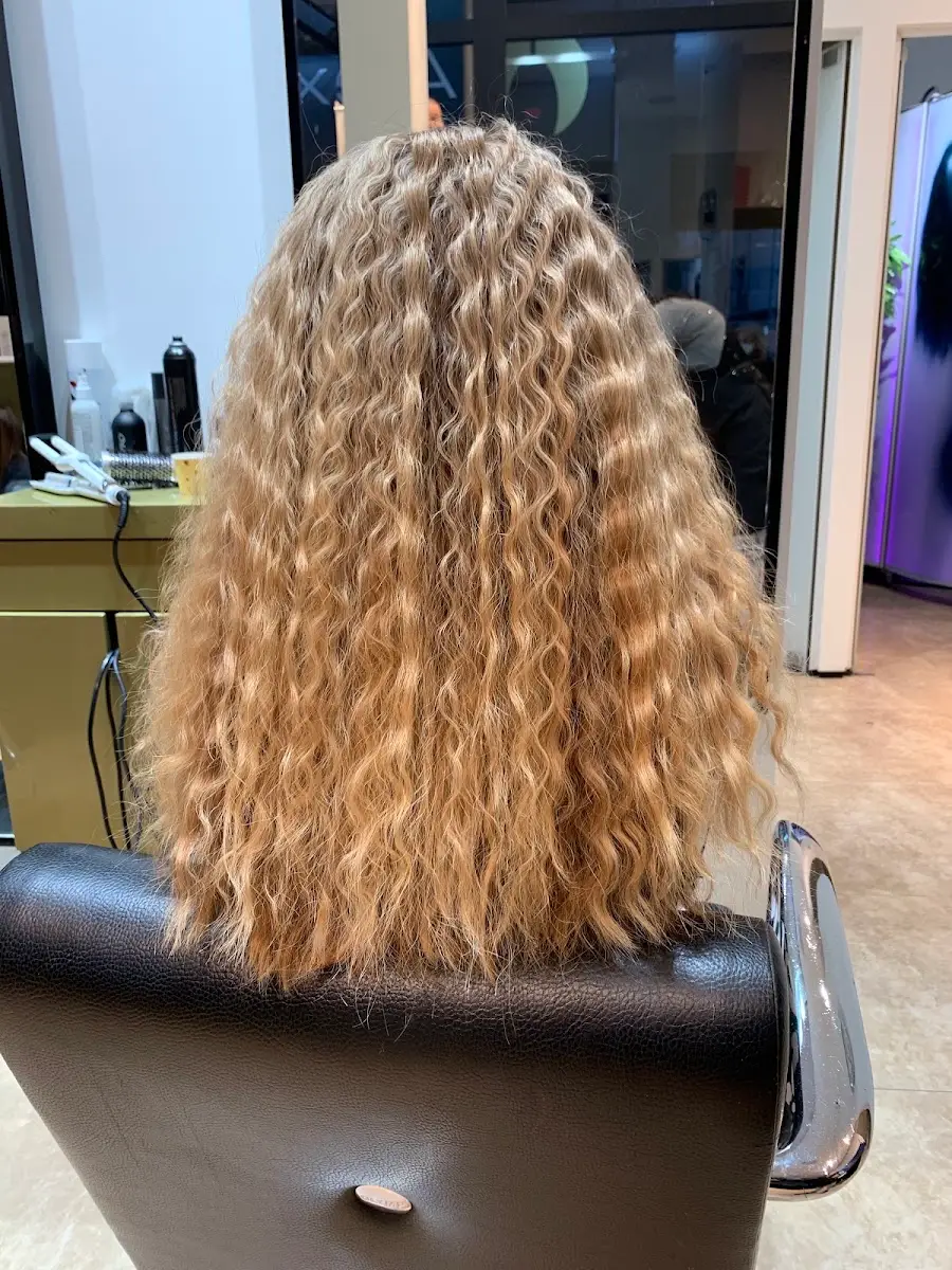 צמידי שיער Salon Alexander החלקה | תוספות שיער | פדחות לשיער דליל | פאות | פאות רפויות | מכונת שיזוף | שיער רוסי, בת ים, תמונה 5