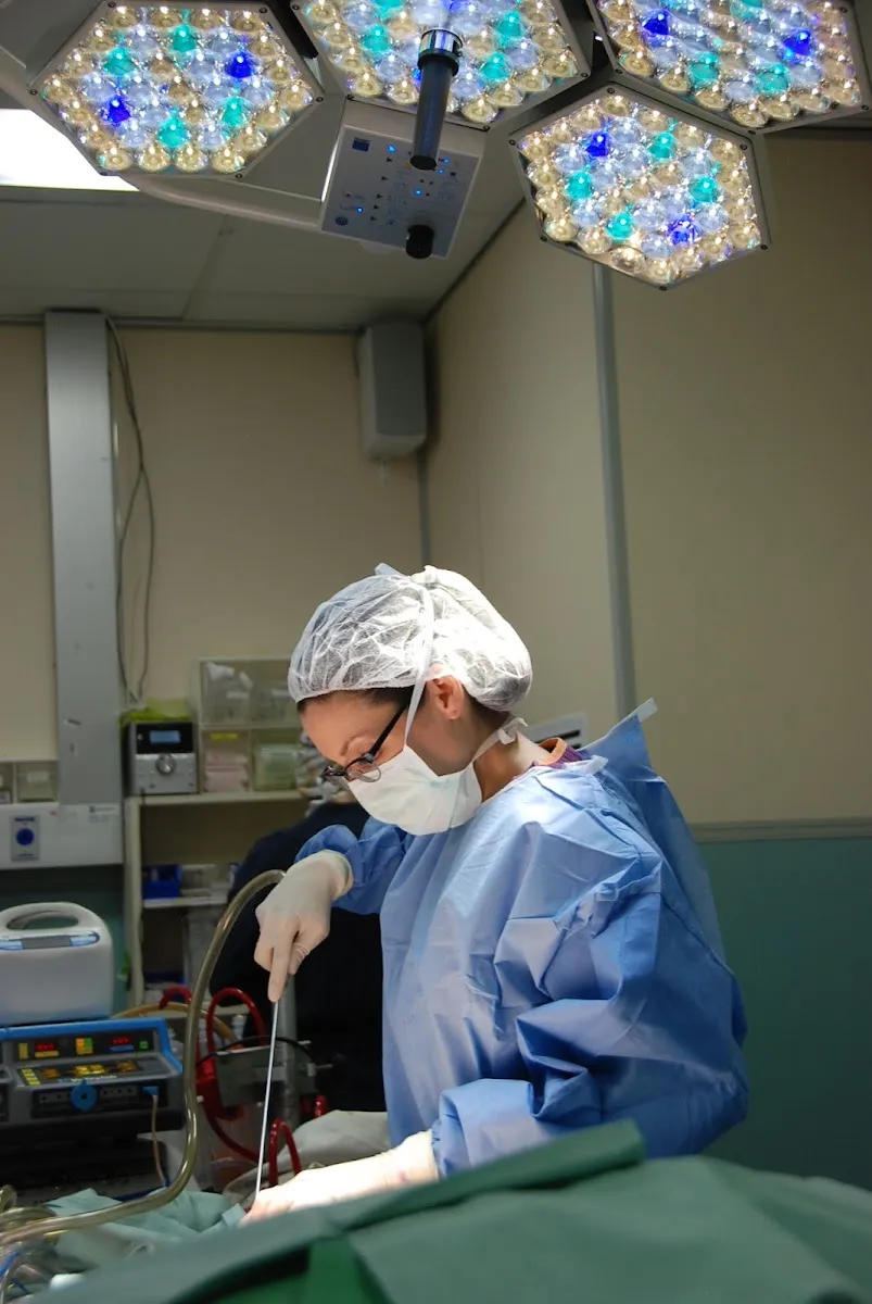 Dr. Tali Friedman - International Center for Body Shaping, תמונה 6