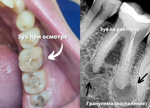 ODYNOKA dental clinic, תמונה 8