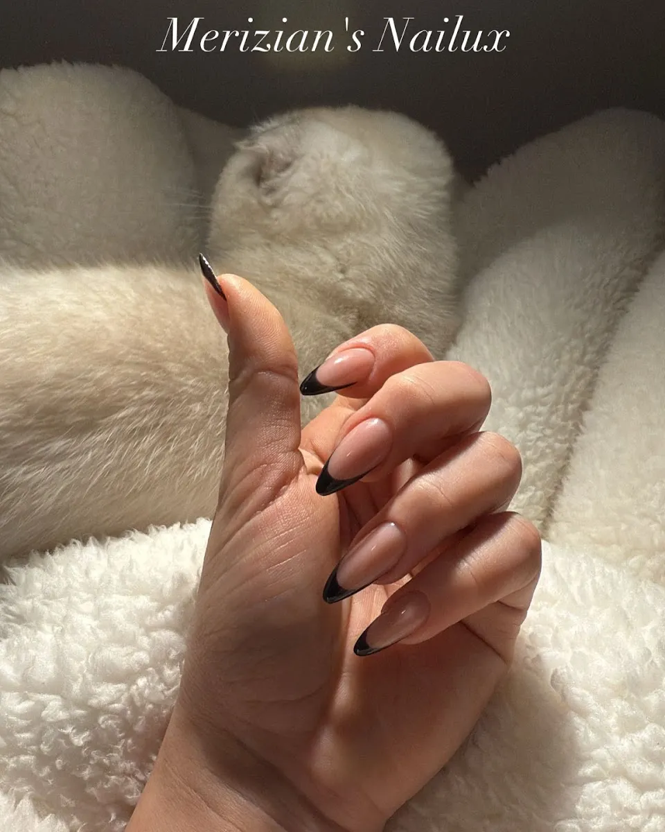 Merizian's Nailux