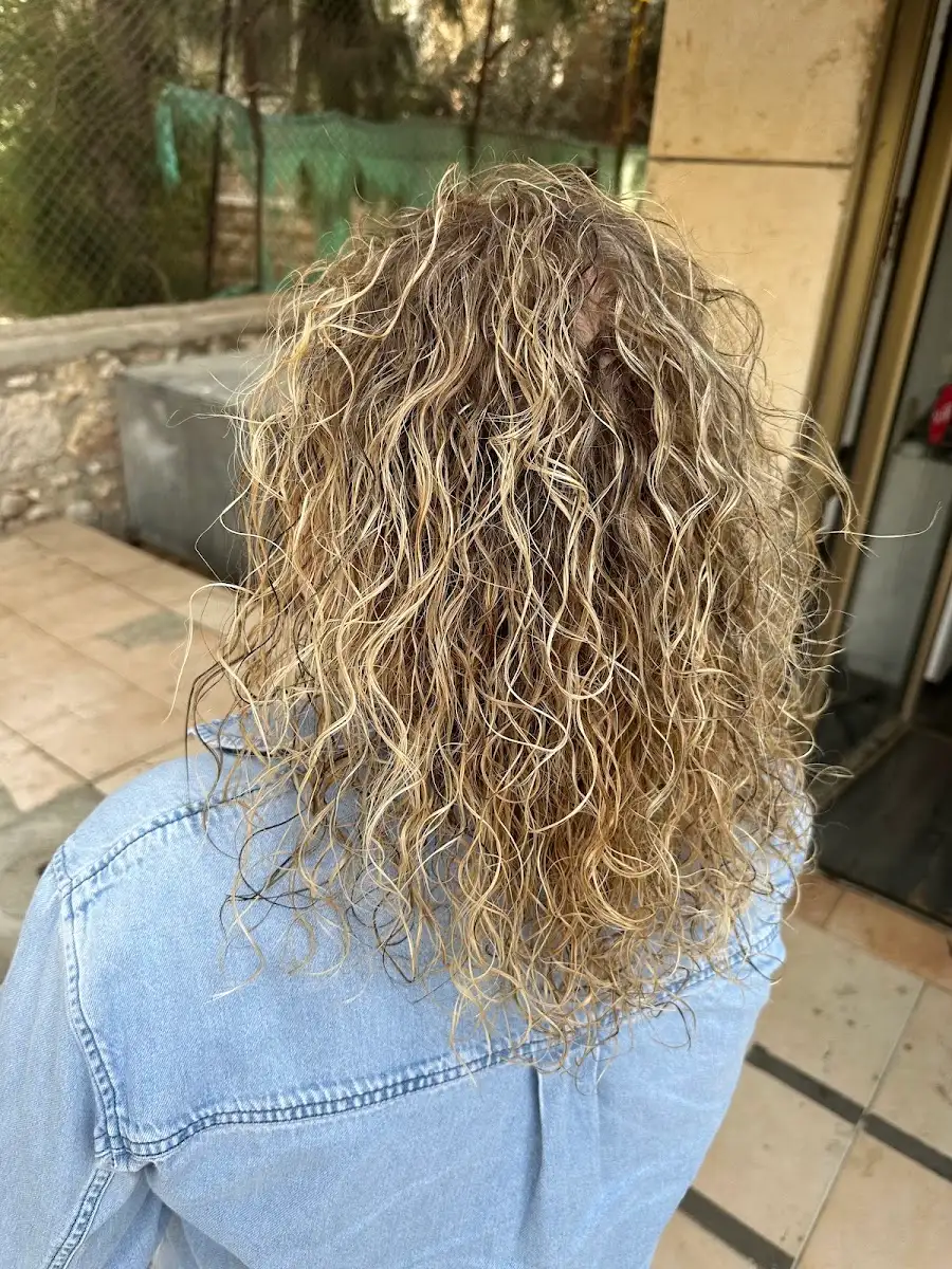 ערן לוי ספר, תמונה 5