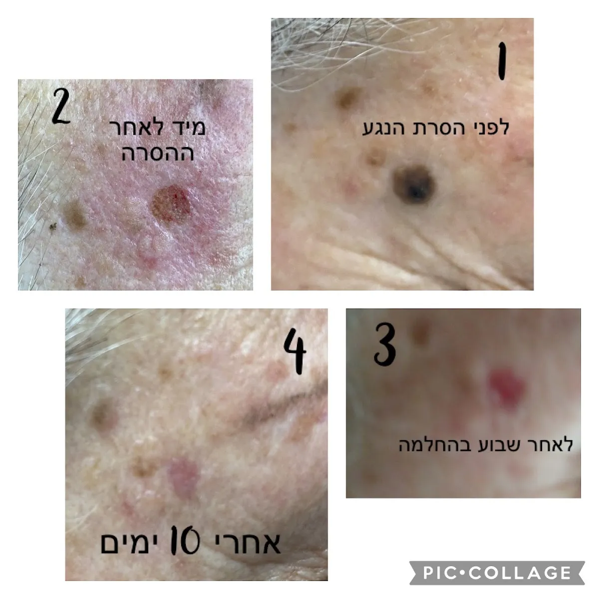 Efrat Cosmetics, תמונה 7